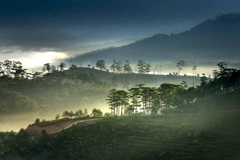 Traveling with a Social Impact: Supporting Local Causes
